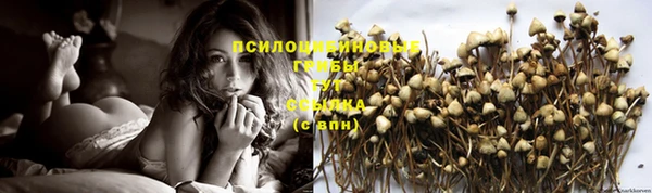 стафф Строитель