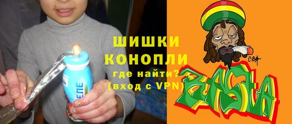 индика Сосновоборск