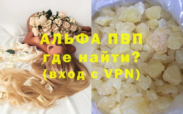 твердый Сосновый Бор