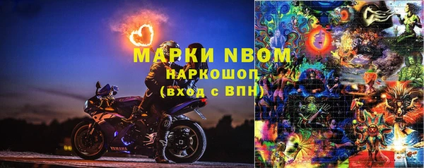 индика Сосновоборск