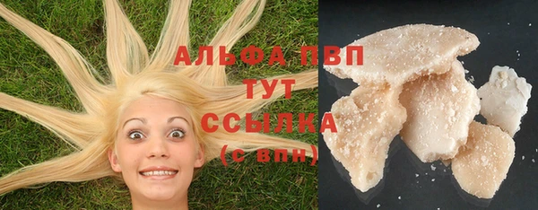 твердый Сосновый Бор