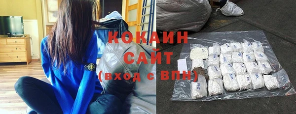 твердый Сосновый Бор