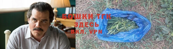 индика Сосновоборск