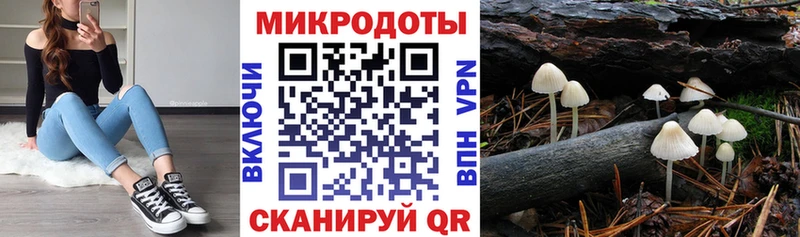 Псилоцибиновые грибы GOLDEN TEACHER  Дзержинский 
