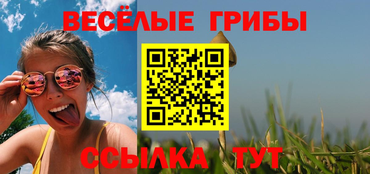 Галлюциногенные грибы мухоморы  Галлюциногенные грибы прущие грибы  Вход с VPN  Дзержинский 