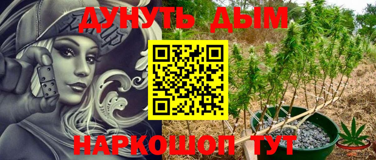 Каннабис White Widow  Канабис план  Дзержинский  МАРИХУАНА White Widow  Бошки марихуана OG Kush 